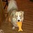 Craig_Cheeseman