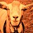 HerbertGoat