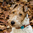 Jeff_Gardner3