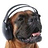 Mike_Rife