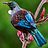 Richard_Buckland
