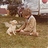 Robert_Baird1