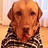 Stephen_Harris